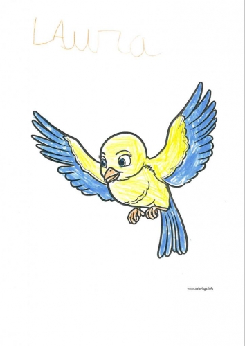 L'oiseau de Laura